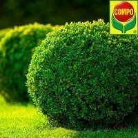 Фото Удобрение Compo для буксусов, вечнозеленых растений, хвои 1 л 2558