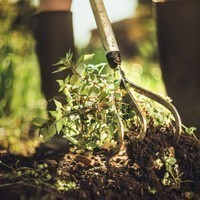 Фото Культиватор Fiskars Xact 150 мм 1027040