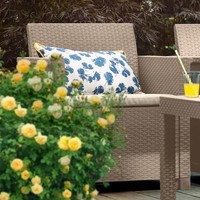 Комплект садовой мебели Keter Elodie 5 seater set (Chicago table) 1 диван + 2 кресла + 1 стол капучино 246154